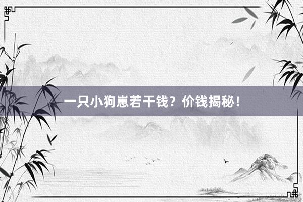 一只小狗崽若干钱?价钱揭秘!